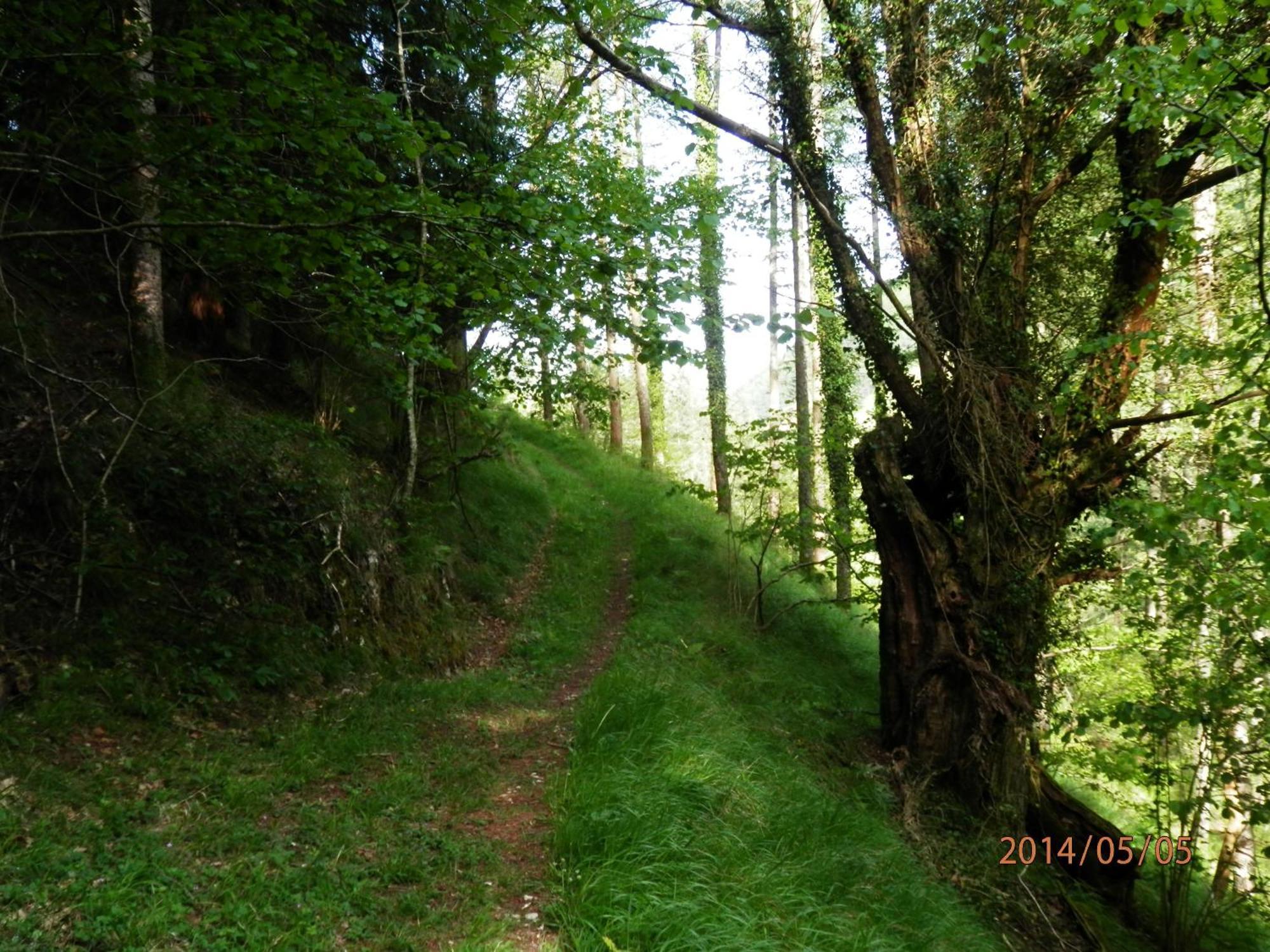 Hostal Ezkurra Buitenkant foto