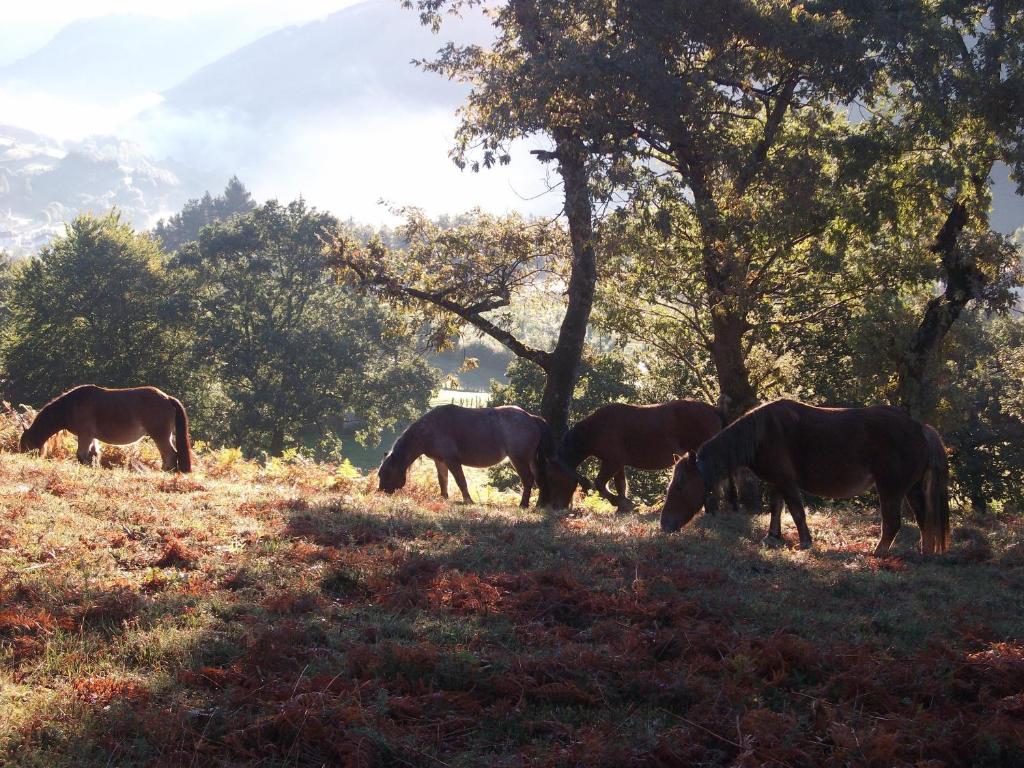 Hostal Ezkurra Buitenkant foto